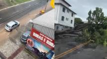 Chuva em Betim causa alagamentos e queda de árvores