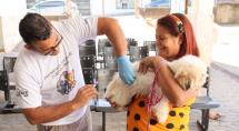 Prefeitura de Betim realiza ação de vacinação antirrábica e exames de leishmaniose no Vila Cristina