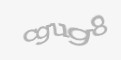Código de segurança